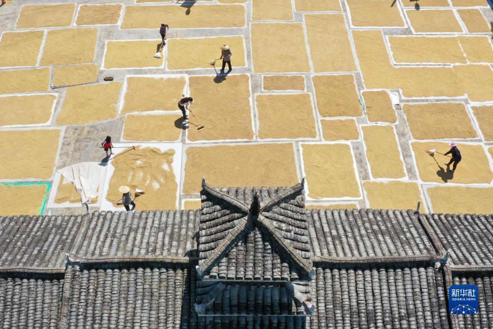 云顶游戏每天送6金币